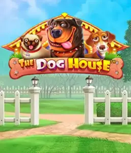 From Pragmatic Play comes The Dog House, featuring a fun-filled journey through charming canines. Discover gameplay elements such as multipliers, designed for providing exciting wins. Ideal for those who enjoy a cheerful setting alongside lucrative rewards.